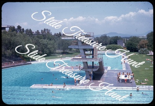 Piscina università del - piscina,