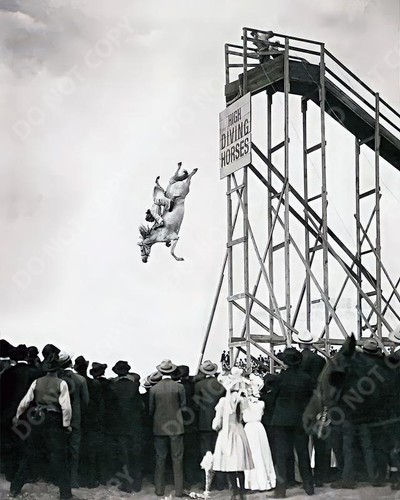 1930 high diving horse 8x10 - 1930,